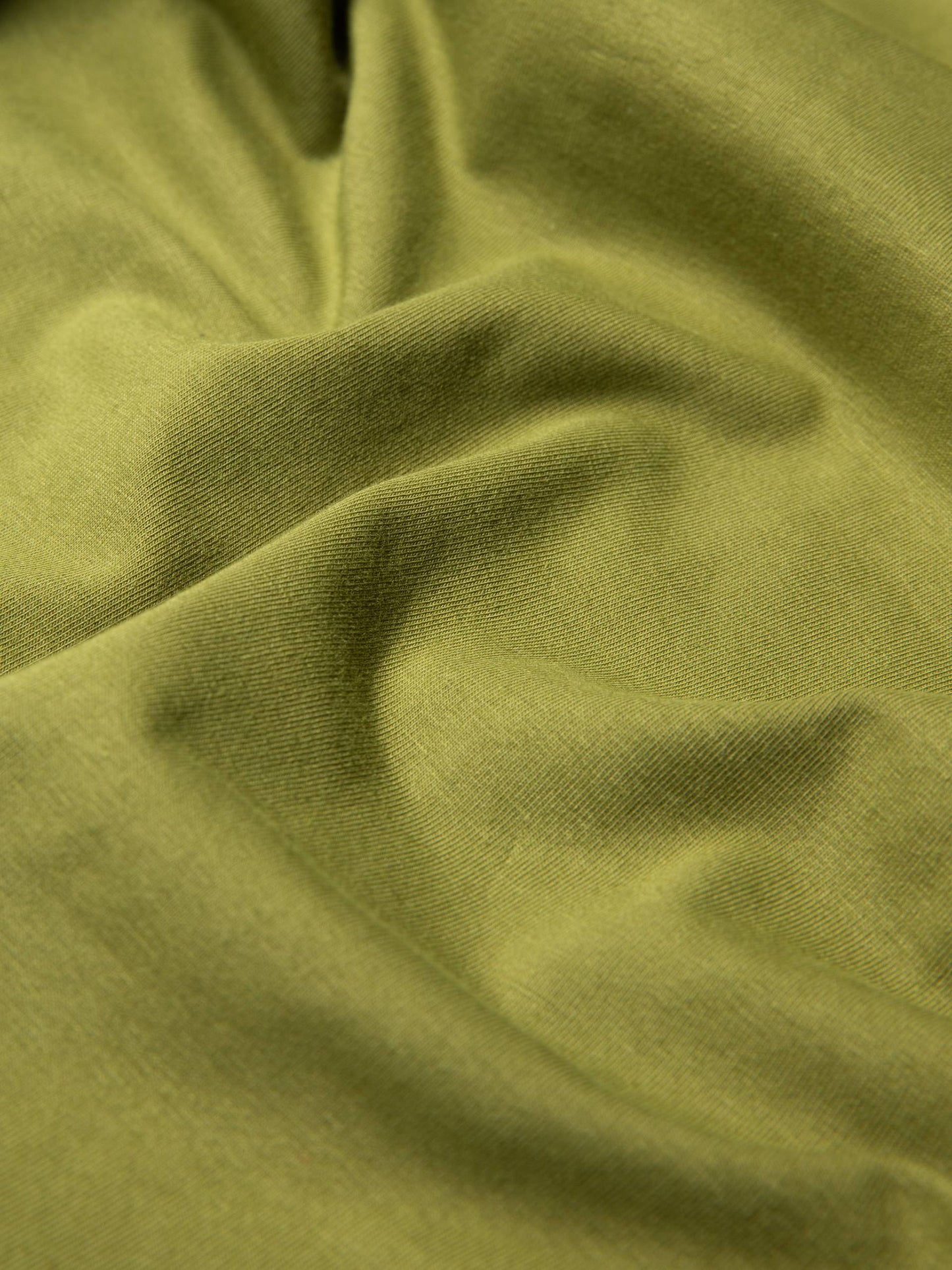 Blutsgeschwister Shirt Kurzarm Grün